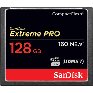 サンディスク SanDisk 海外パッケージ サンディスク CFカード 128GB 