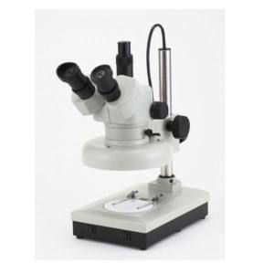 カートン光学 CARTON カートン光学 MS45821526 双眼実体顕微鏡