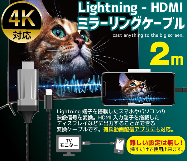  輸入特価アウトレット IPhone HDMI ミラーリングケーブル ブラック