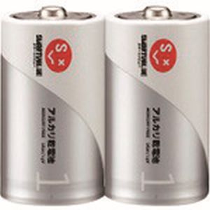 ジョインテックス ジョインテックス N121J-2P 365385 アルカリ乾電池 単1×2本