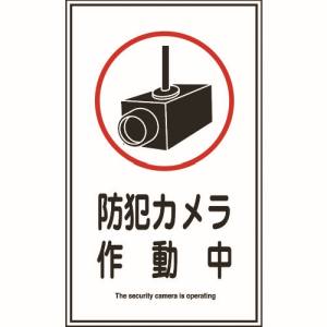 日本緑十字社 日本緑十字社 47123 イラストステッカー標識 防犯カメラ作動中 貼123 200×120mm 10枚組