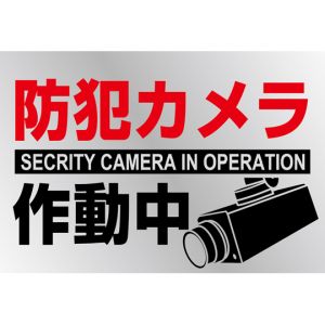 日本緑十字社 日本緑十字社 47133 イラストステッカー標識 防犯カメラ作動中 貼-133 150×220mm 2枚組 PET